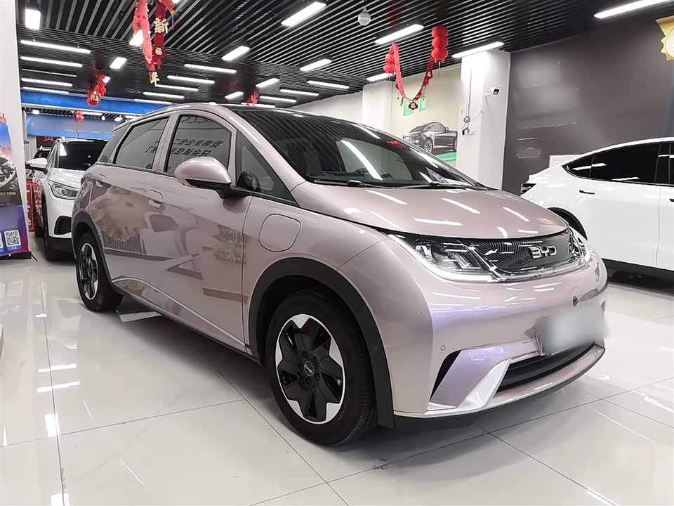 BYD dolphin BYD dolphin