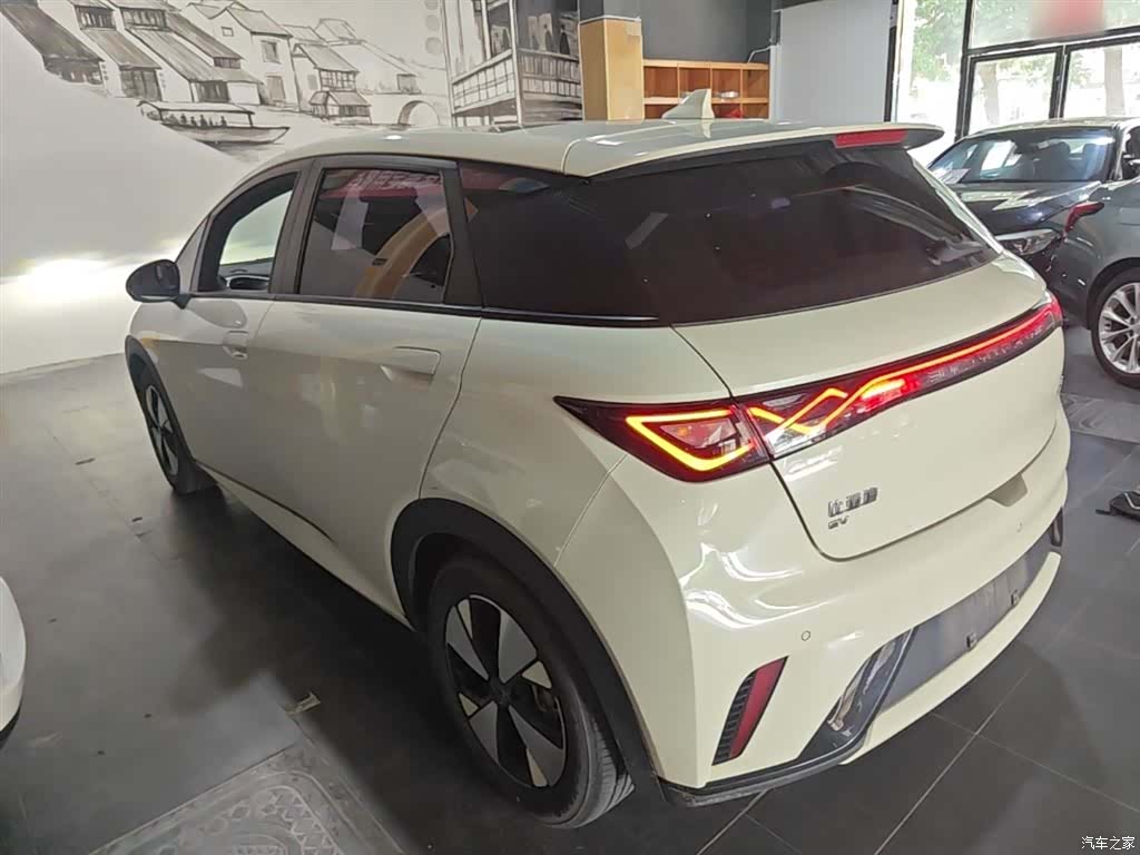 BYD Dolphin, 2023 все фото