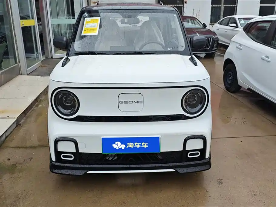 Geely Galaxy panda
