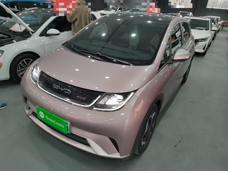 BYD dolphin