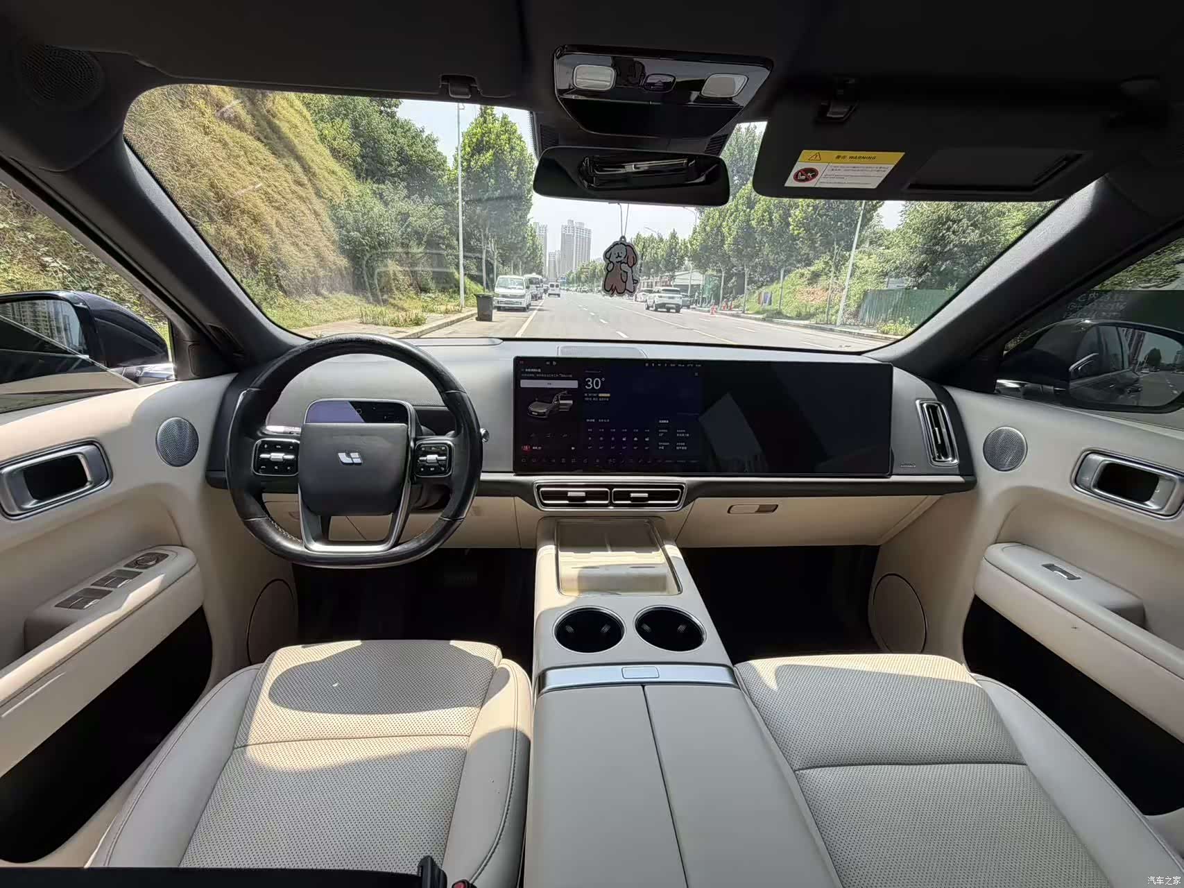 Li Auto L9, 2023 6