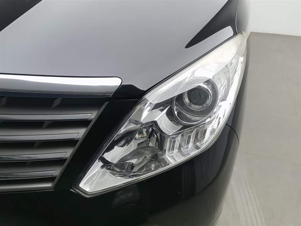 Forthing Lingzhi PLUS