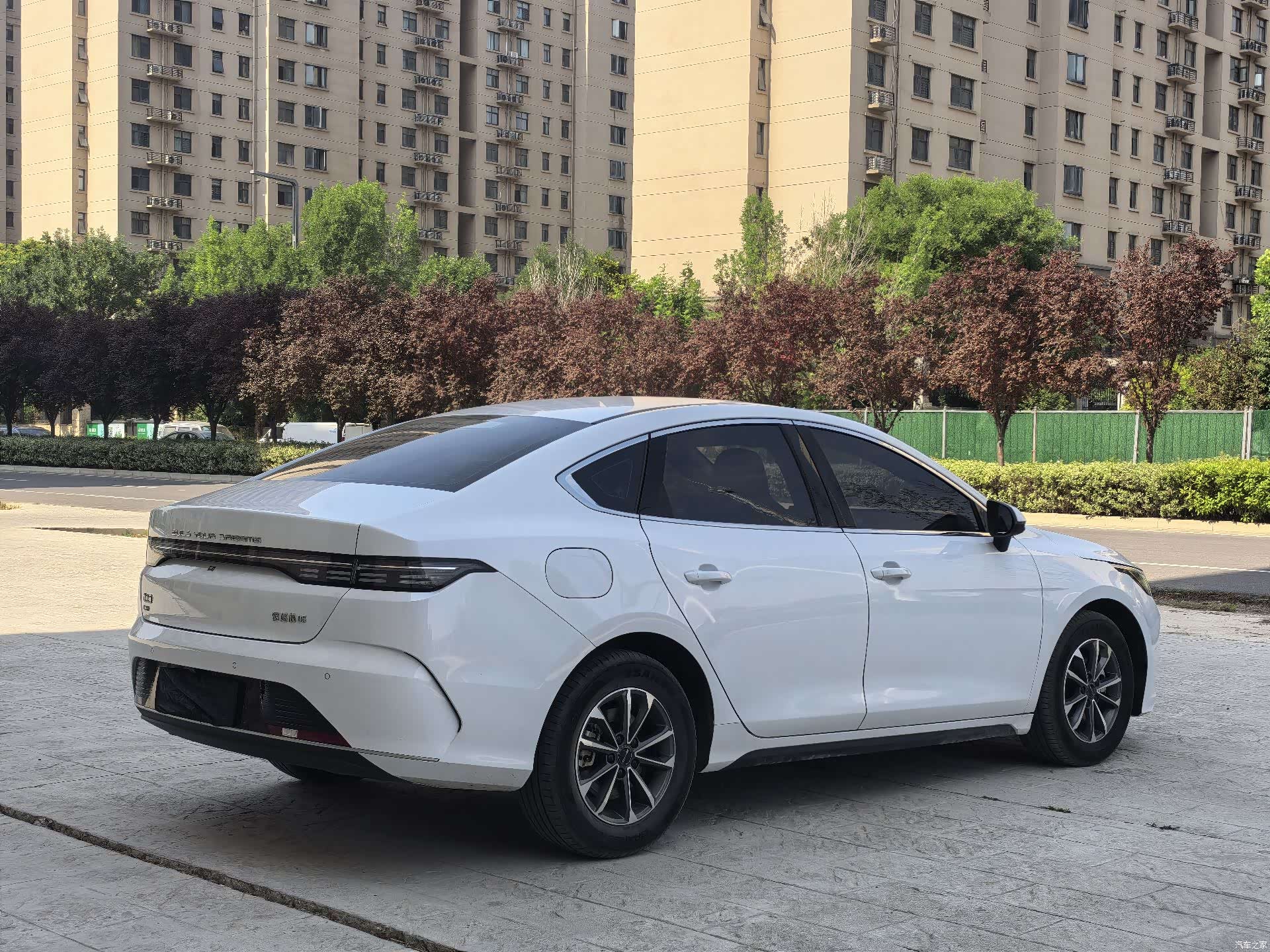 BYD Destroyer 05, 2025 6