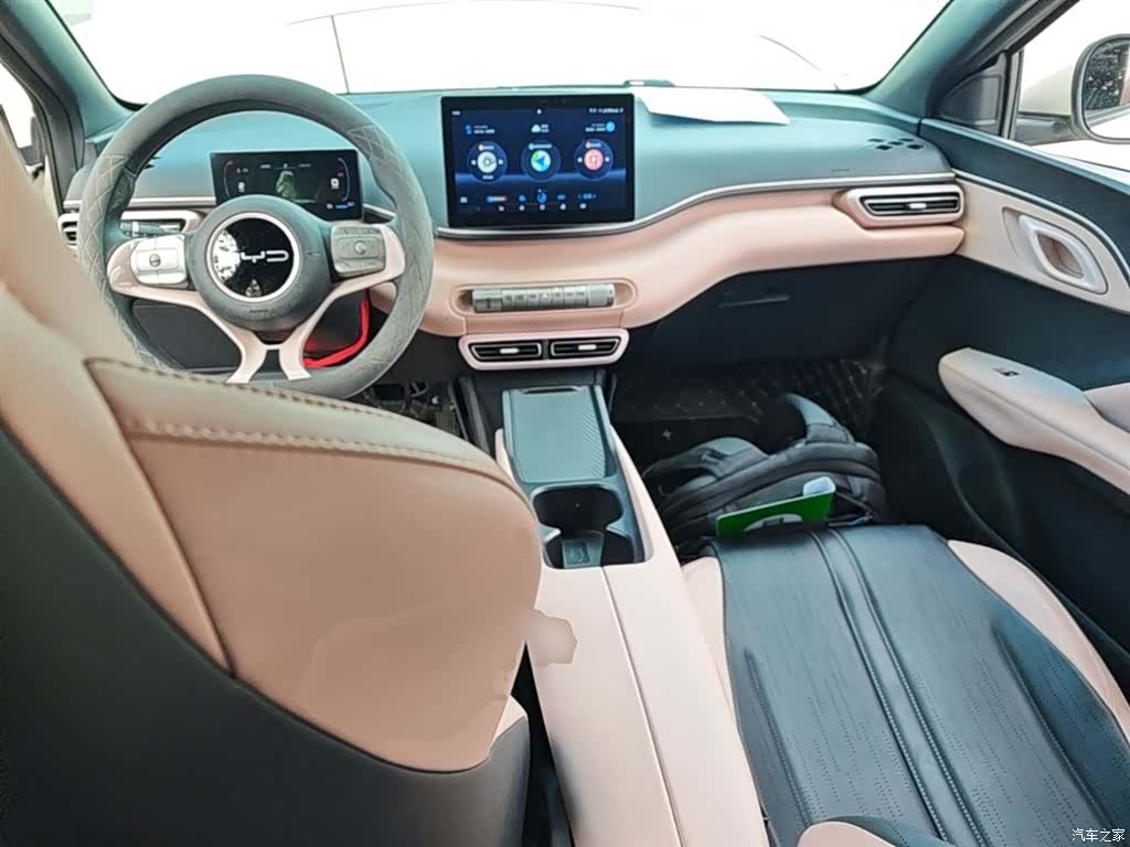BYD Seagull, 2024 10