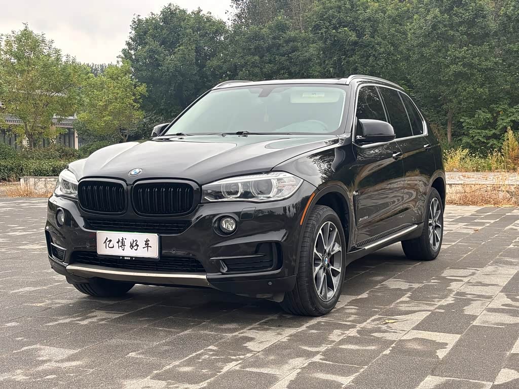 BMW X5 2014 xDrive35i Lead