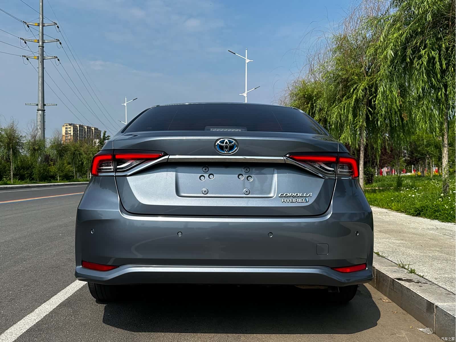 Toyota Corolla, 2023 все фото
