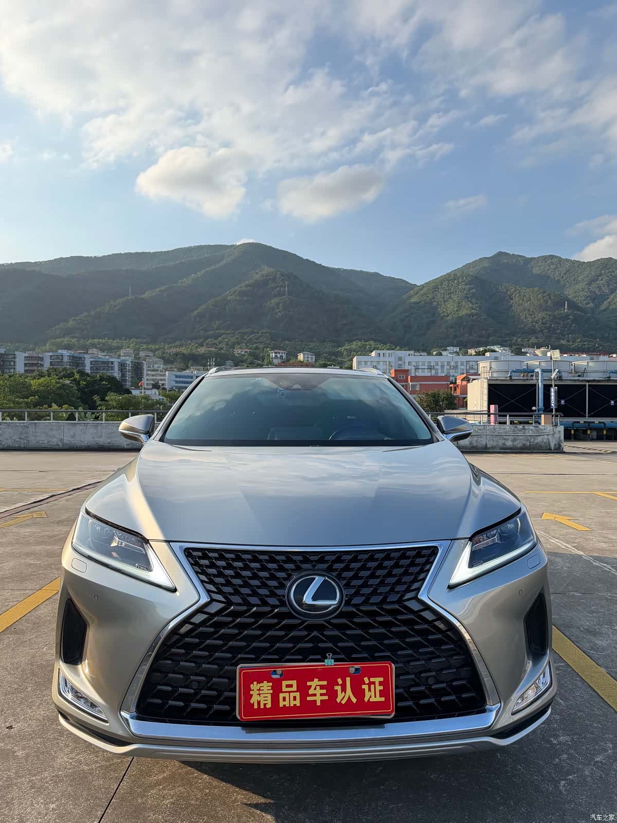 Lexus RX, 2020 1