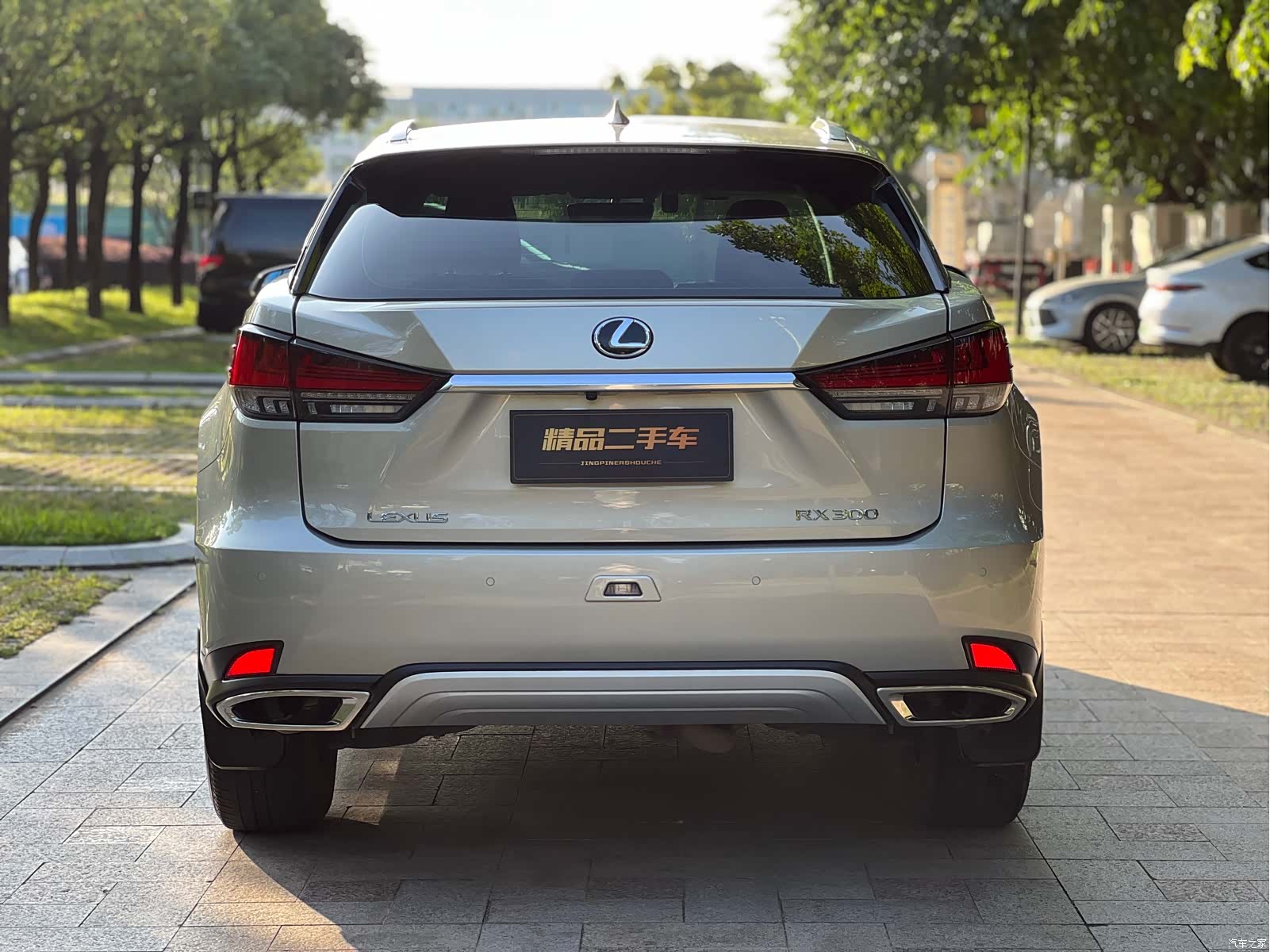 Lexus RX, 2022 6