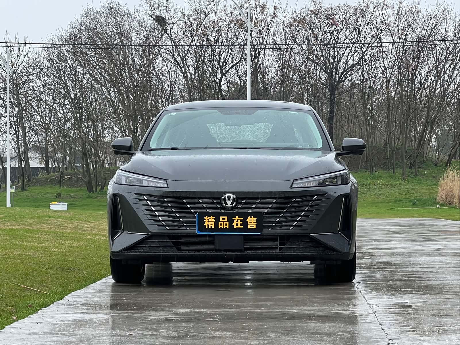 Changan Eado, 2025 2