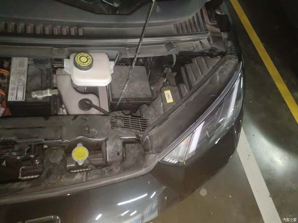 BYD Seagull, 2023 22