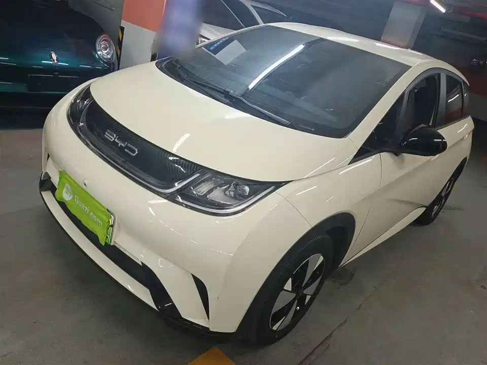 BYD dolphin