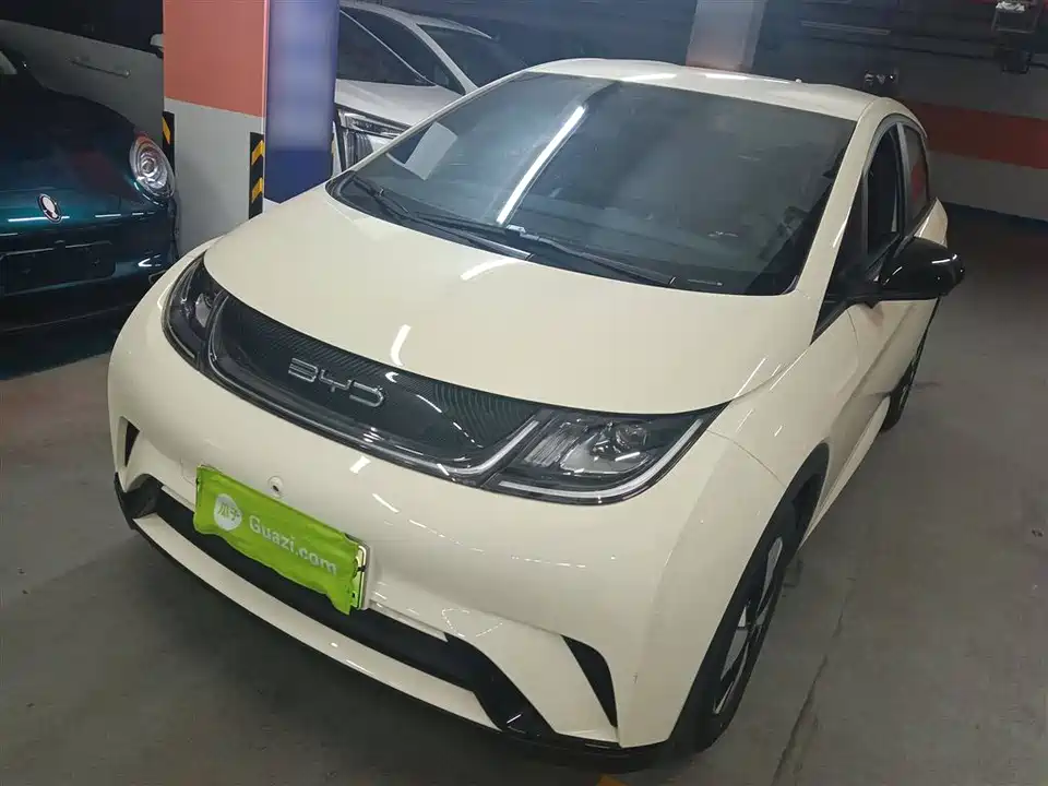 BYD dolphin