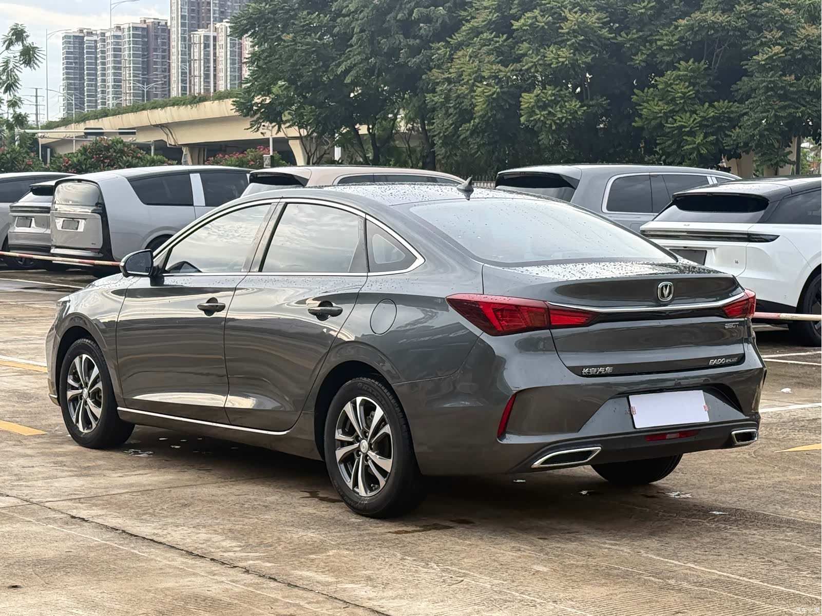 Changan Eado, 2021 все фото