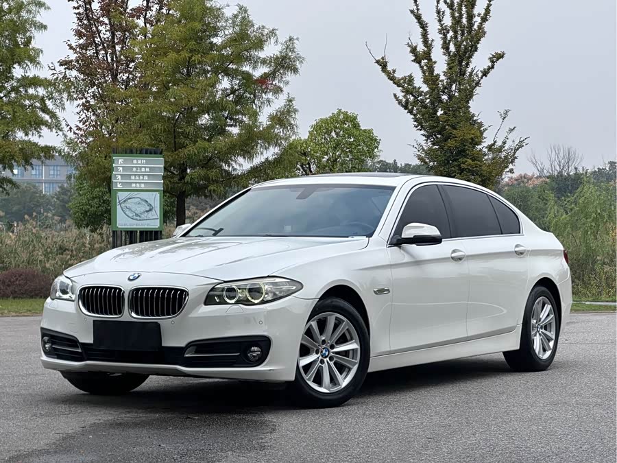 BMW 5 Series 2014, фото 1