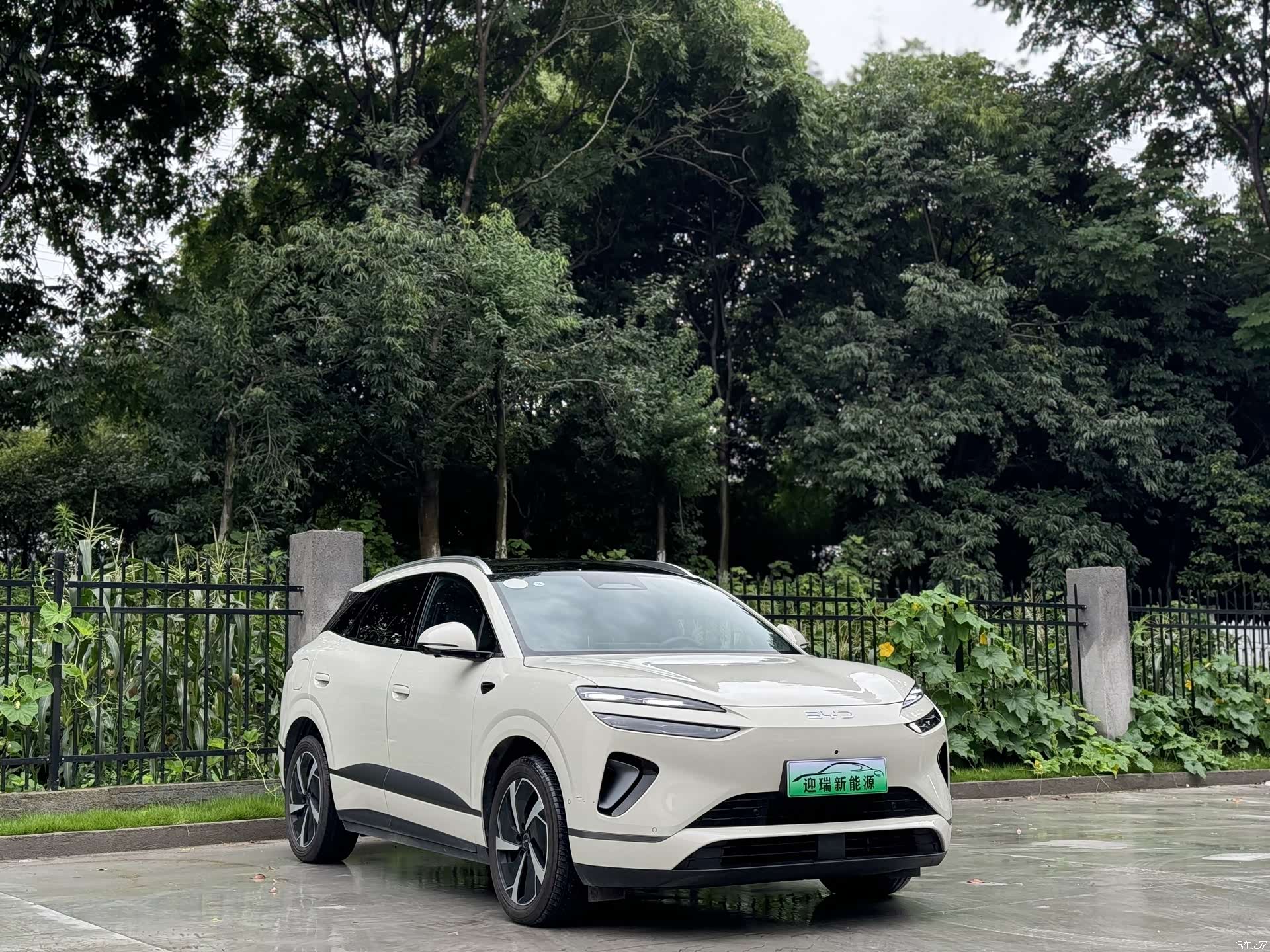 BYD HiAce, 2025 3