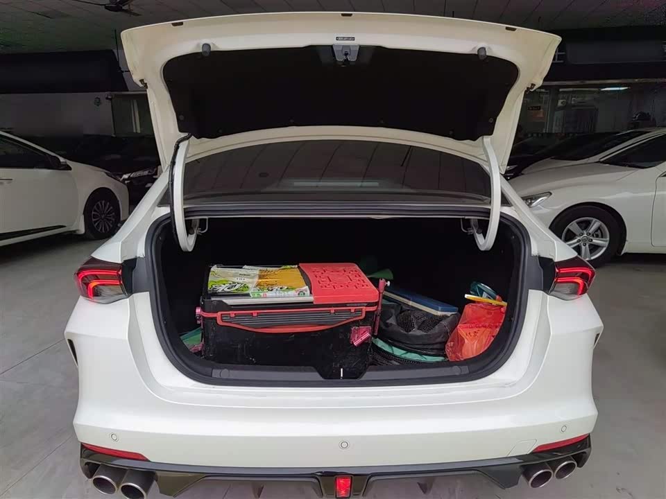 Trumpchi Shadow Leopard