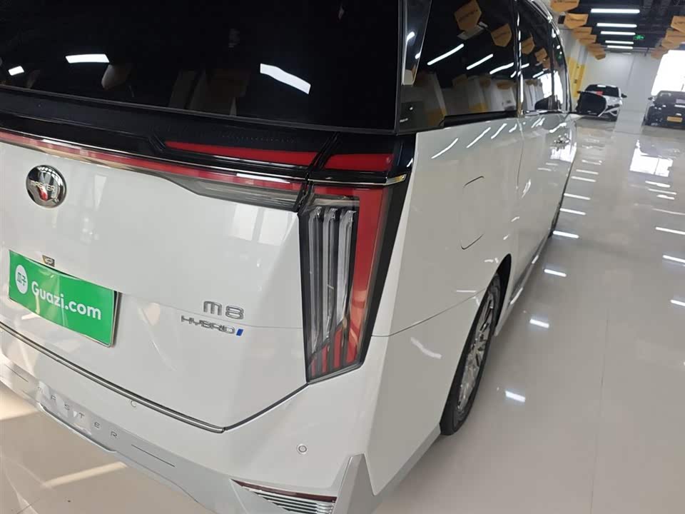 Trumpchi Trumpchi M8