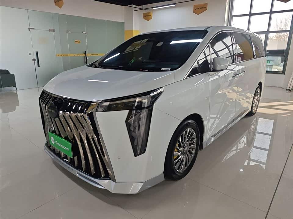 Trumpchi Trumpchi M8