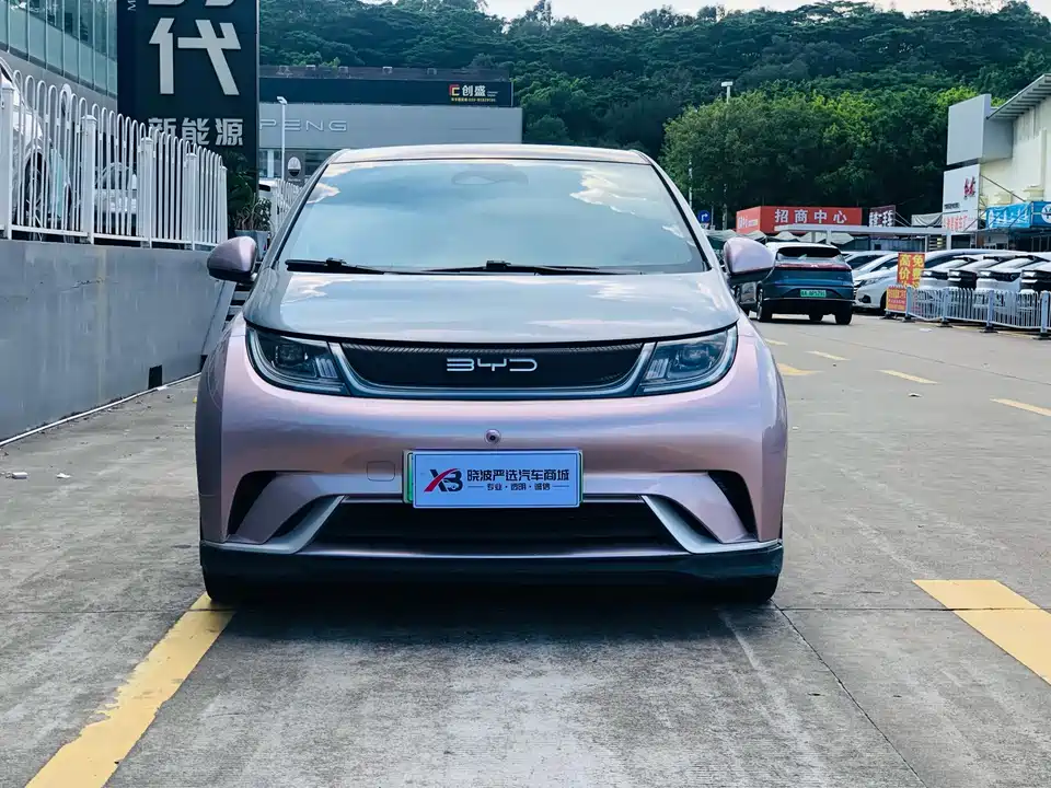 BYD dolphin