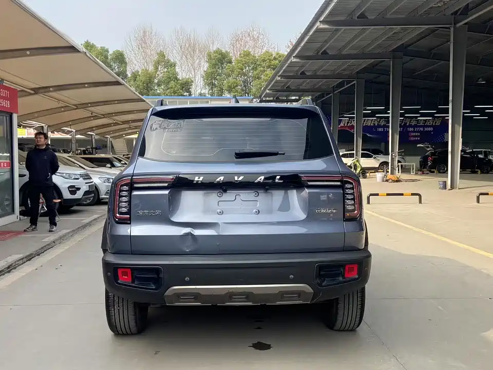 Haval Big dog