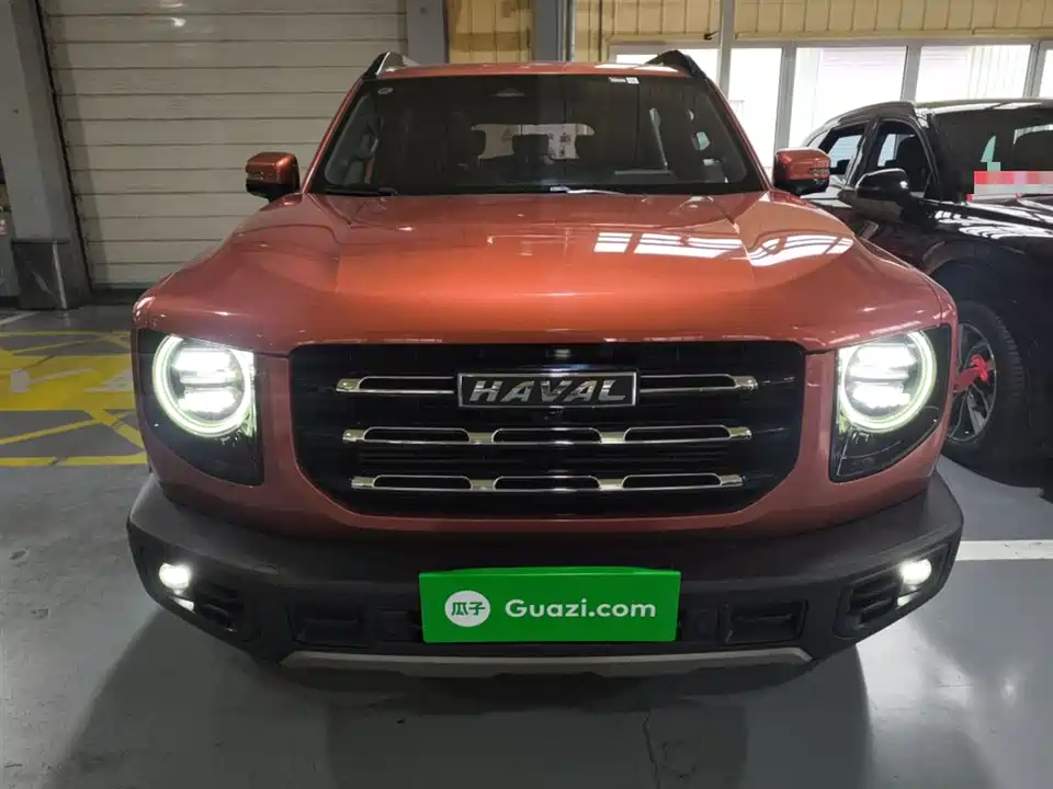 Haval Big dog