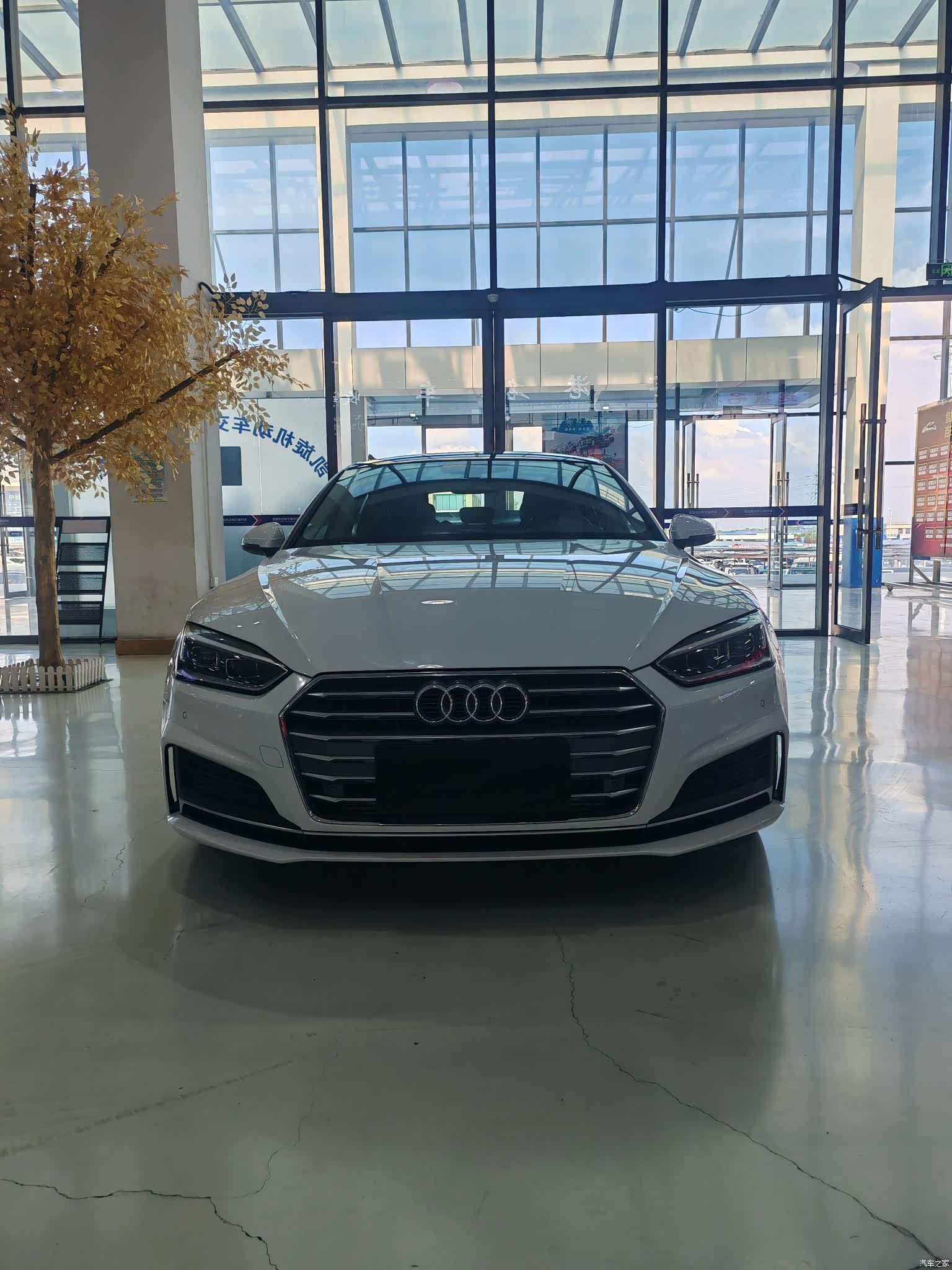 Audi A5, 2020 2