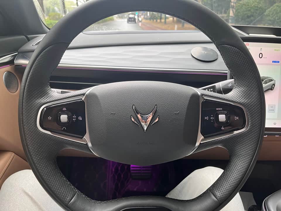 ARCFOX Polar Fox Alpha T5