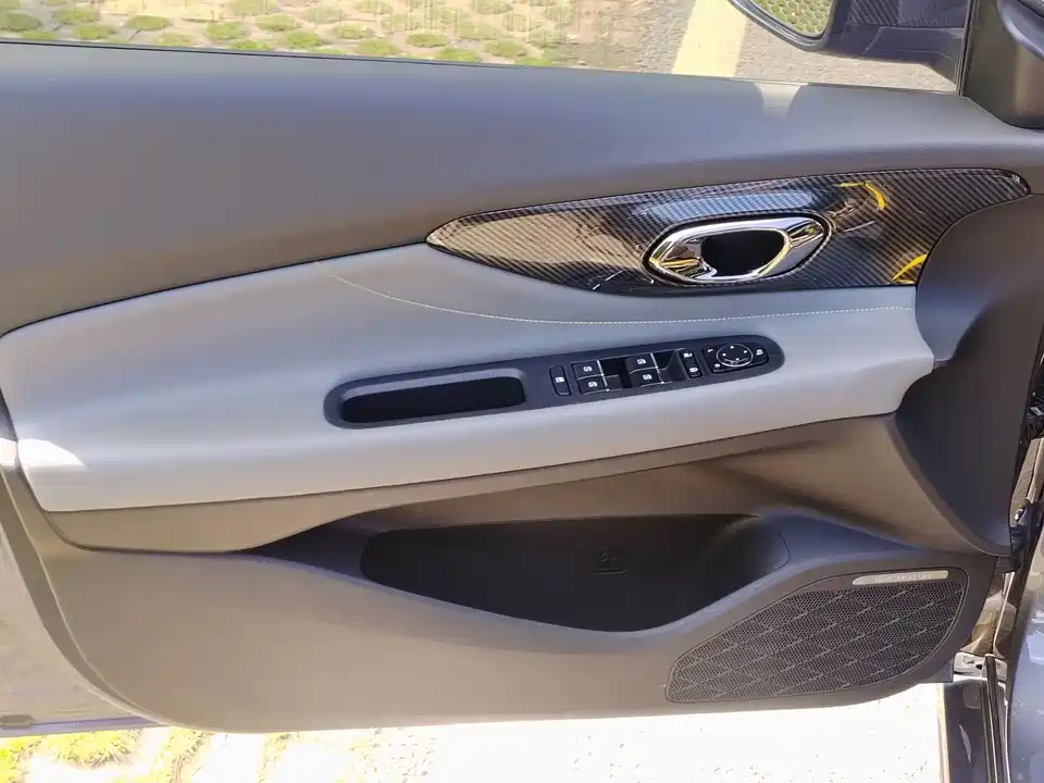 Trumpchi Shadow Leopard