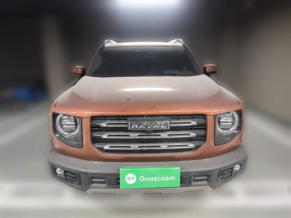 Haval Big dog