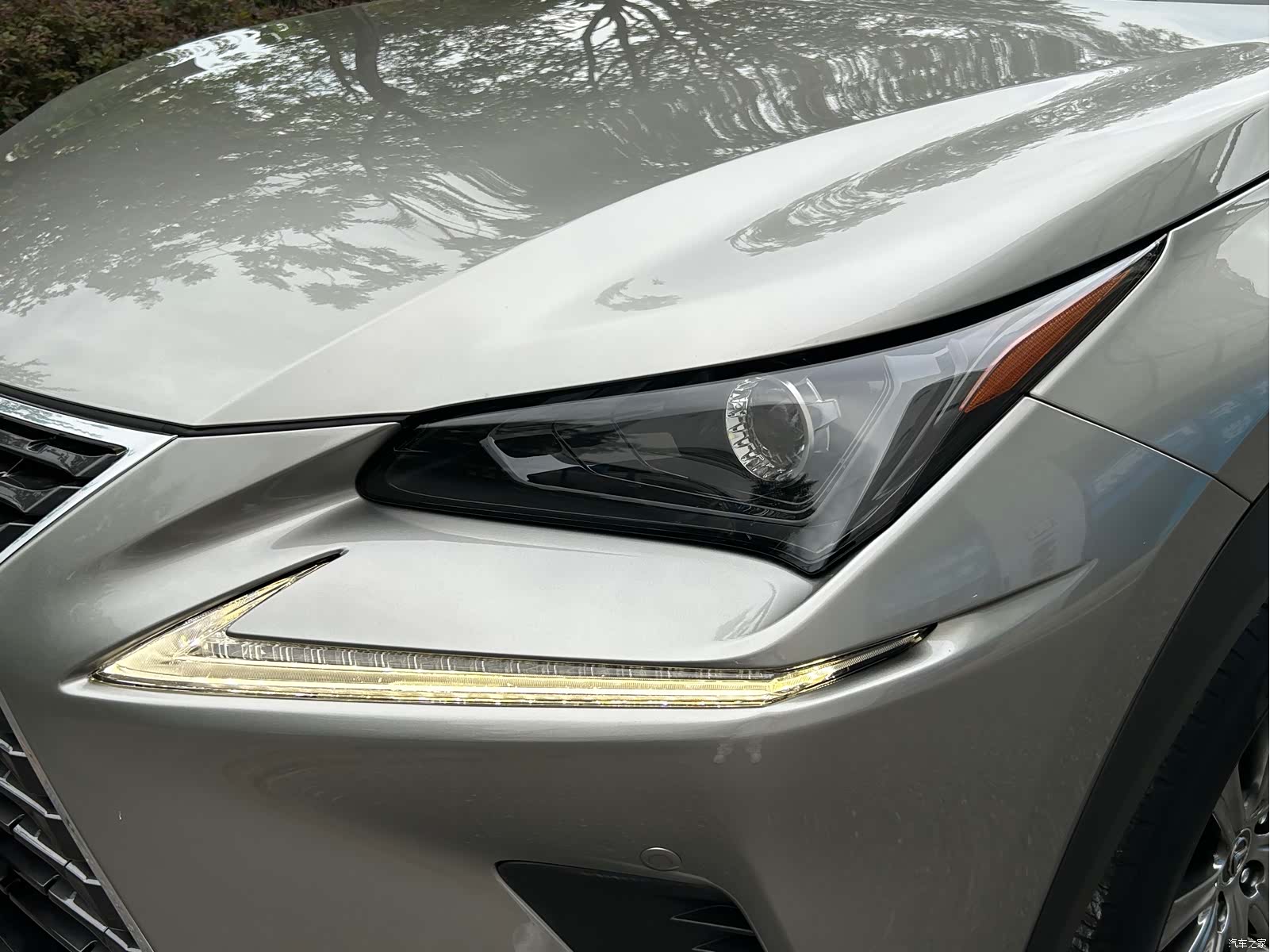 Lexus NX, 2020 24