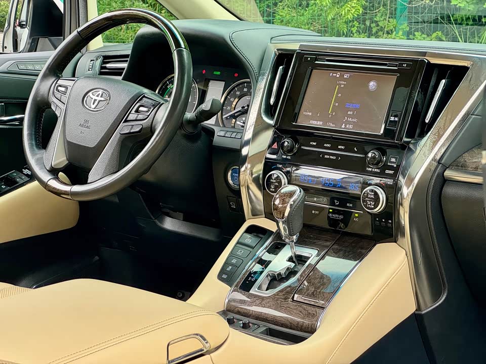 Toyota Elfa