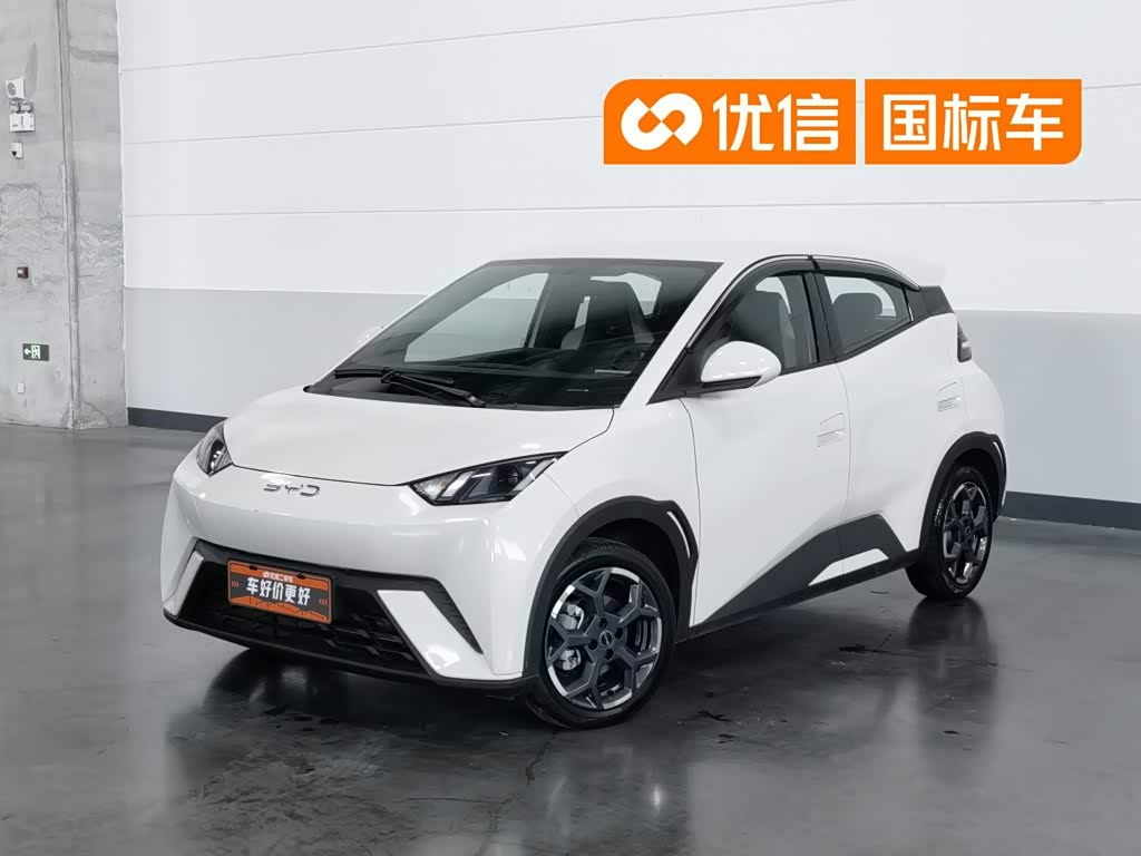 BYD Seagull