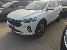 ����F7x 2019�� 1.5T �������ǿƼ���