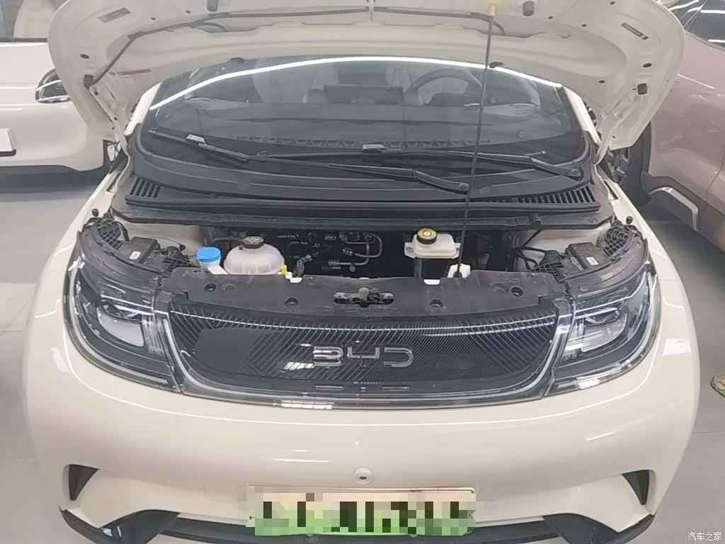BYD Dolphin, 2026 16
