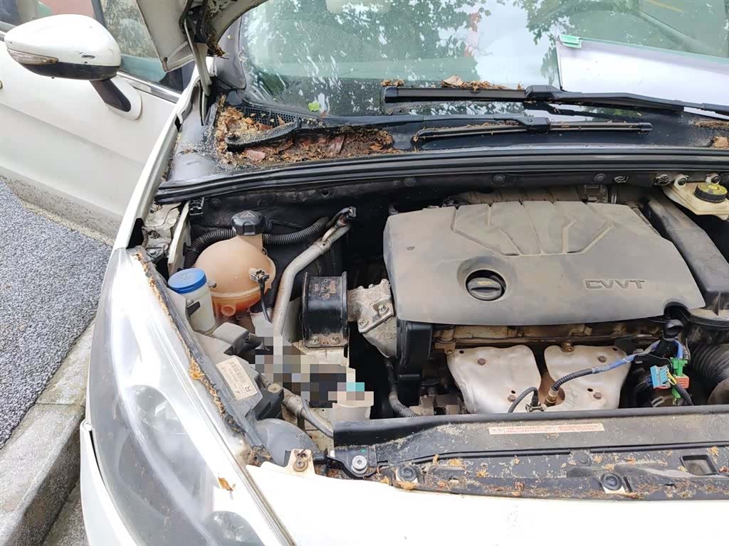 Peugeot 308, 2016 20