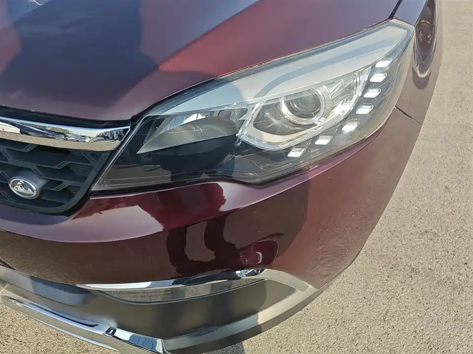 Leopaard Cheetah CS10