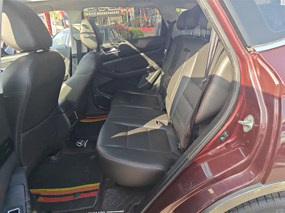 Leopaard Cheetah CS10