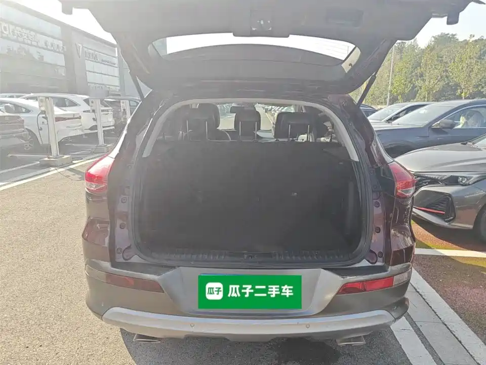 Leopaard Cheetah CS10