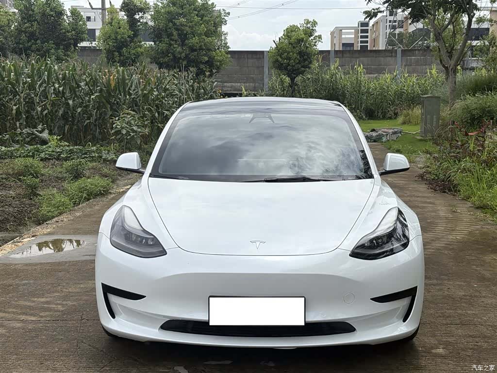 Tesla Model 3, 2021 3