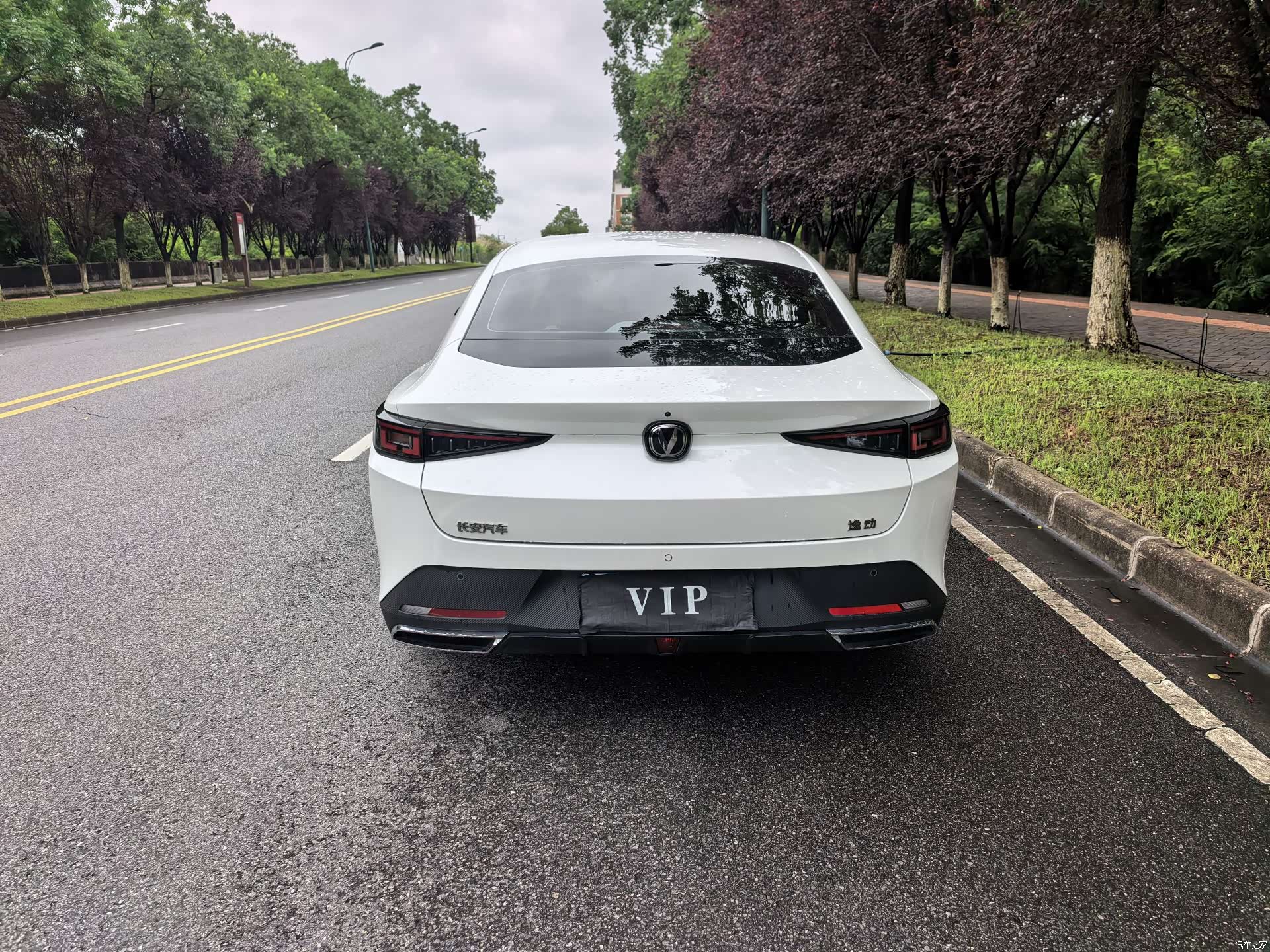 Changan Eado, 2024 все фото