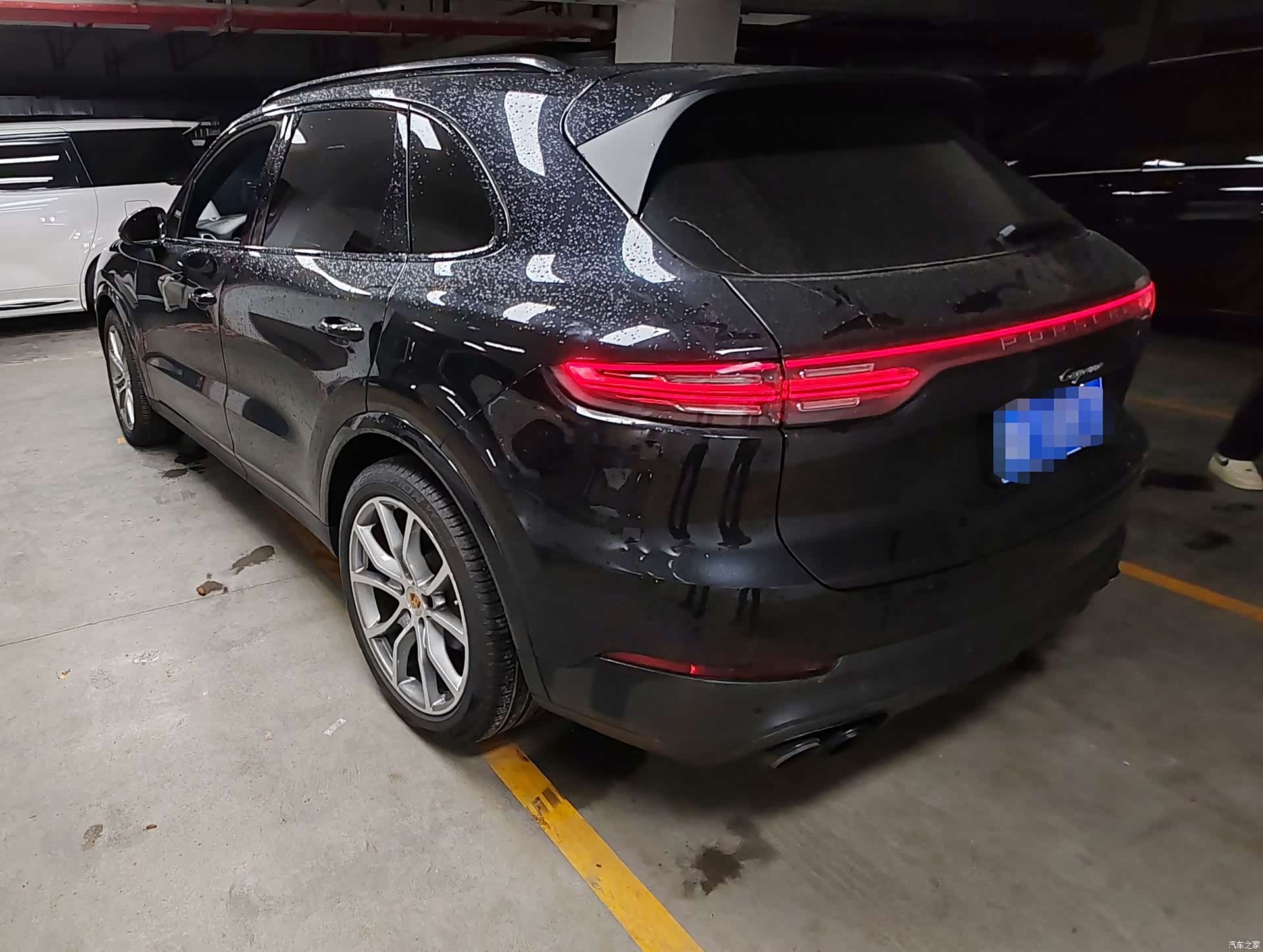 Porsche Cayenne, 2022 все фото