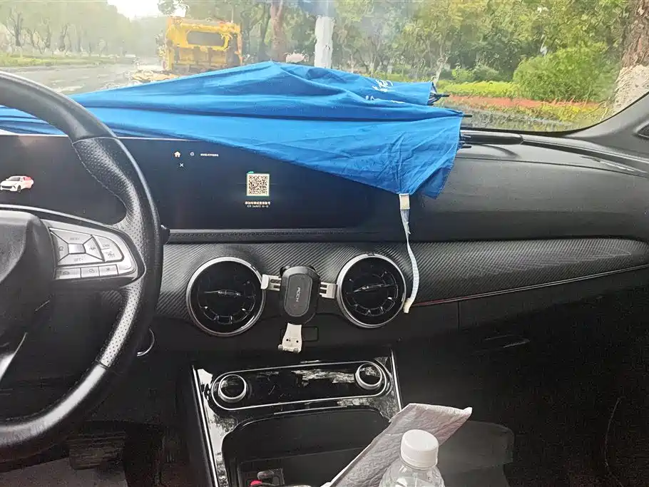 Forthing Popular T5 EVO