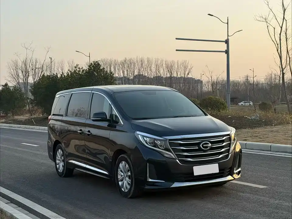 Trumpchi Trumpchi M8