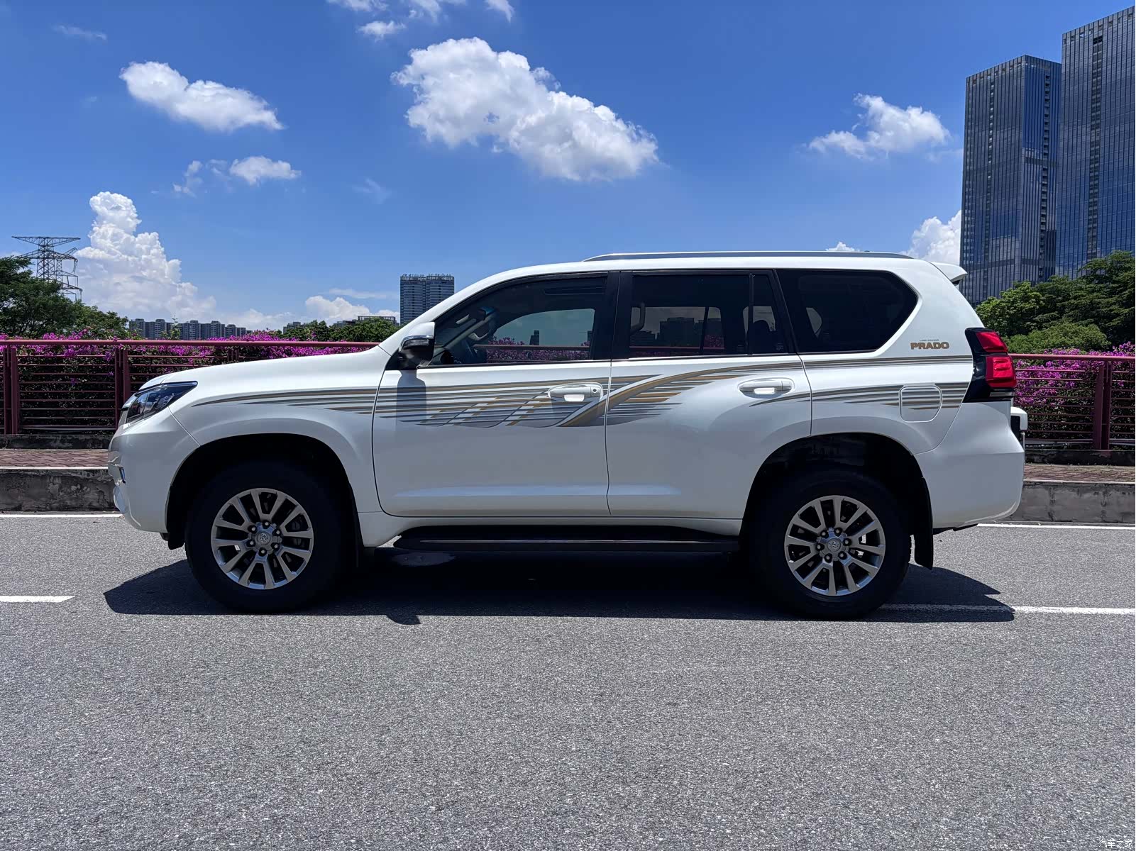 Toyota Prado, 2019 3