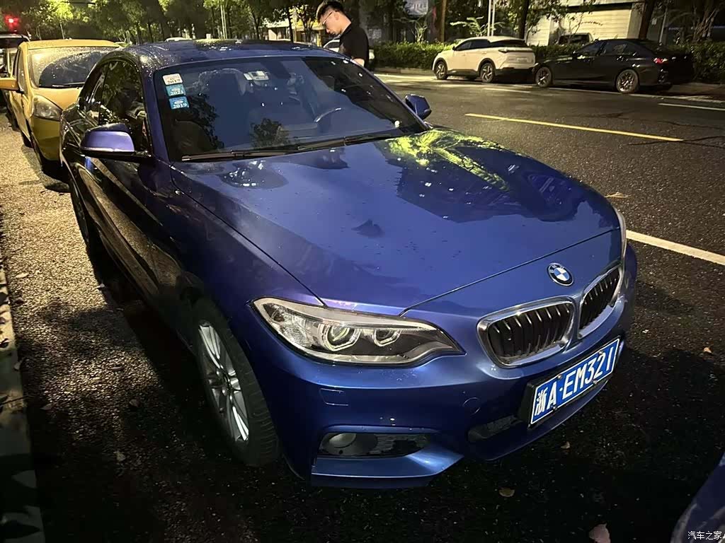 BMW 2 Series, 2015 6