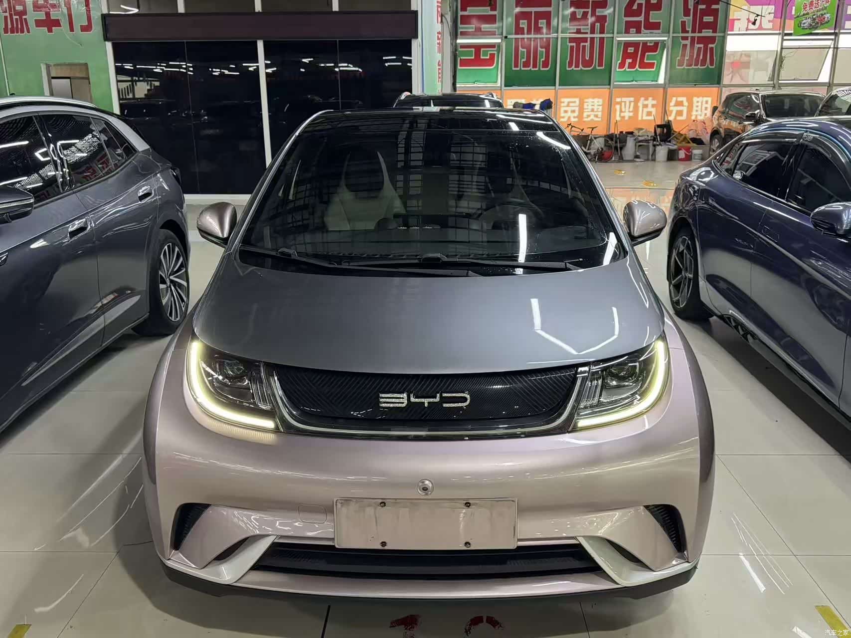 BYD Dolphin, 2022 3