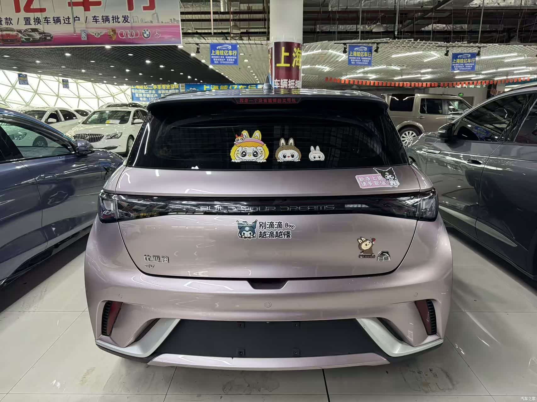 BYD Dolphin, 2022 11