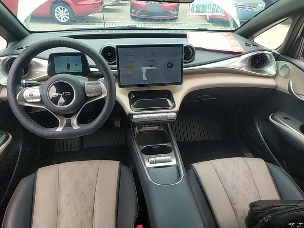 BYD Dolphin, 2024 10