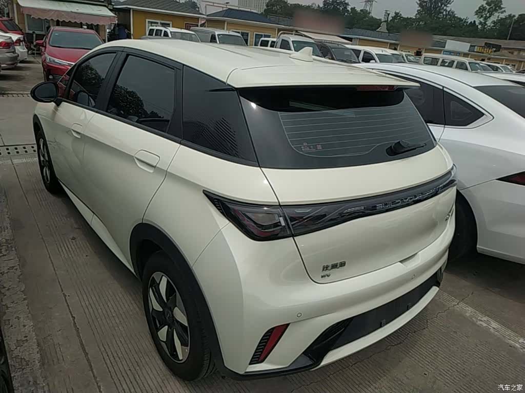 BYD Dolphin, 2024 все фото