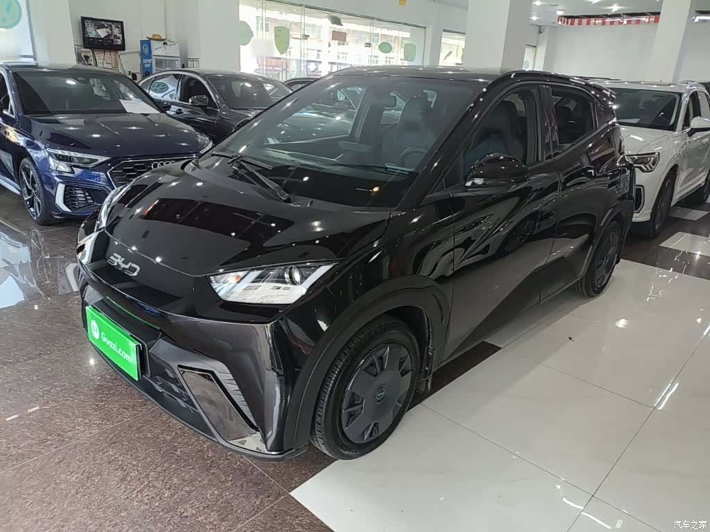 BYD Seagull, 2025 2